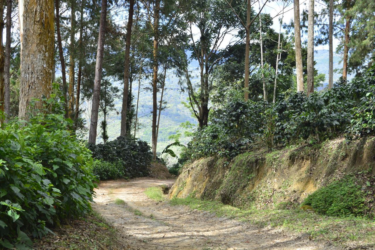 Finca Santa Rosa Mariscal Castilla Bagian luar foto