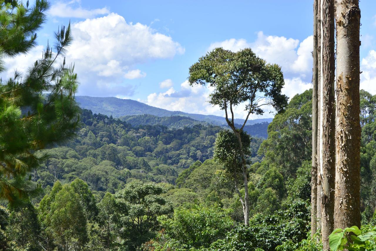 Finca Santa Rosa Mariscal Castilla Bagian luar foto